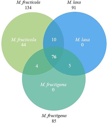 Evaluation of cell death-inducing activity of Monilinia spp. effectors in several plants using a modified TRV expression system